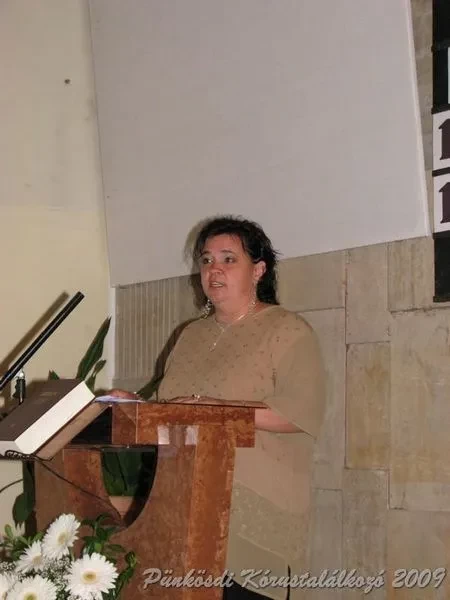 punkosdi 2009