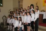 punkosdi 2010