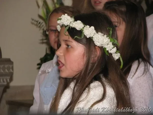 punkosdi 2010
