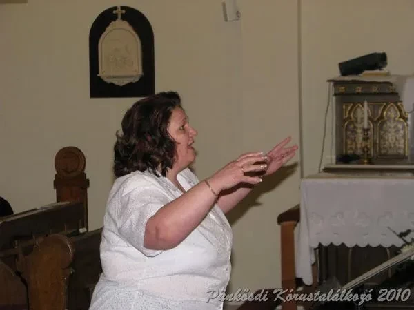 punkosdi 2010