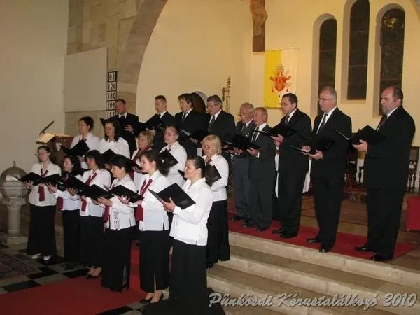 punkosdi 2010
