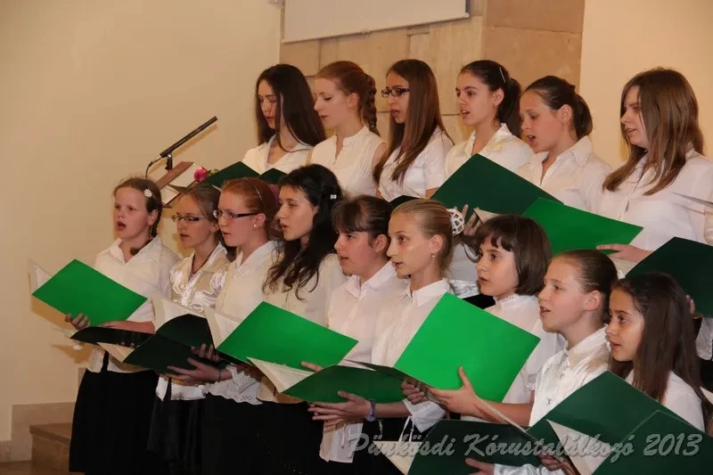 punkosdi 2013 05 16