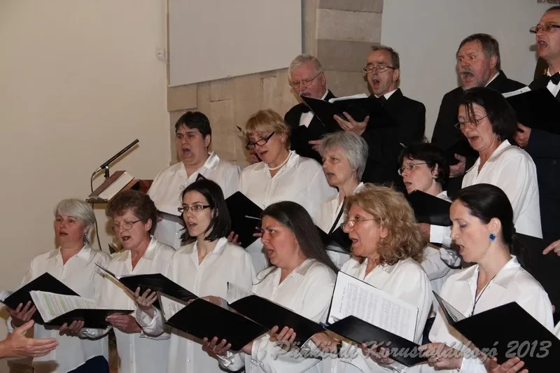 punkosdi 2013 05 17