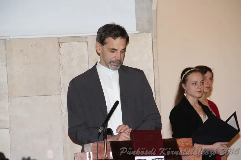 punkosdi 2014 06