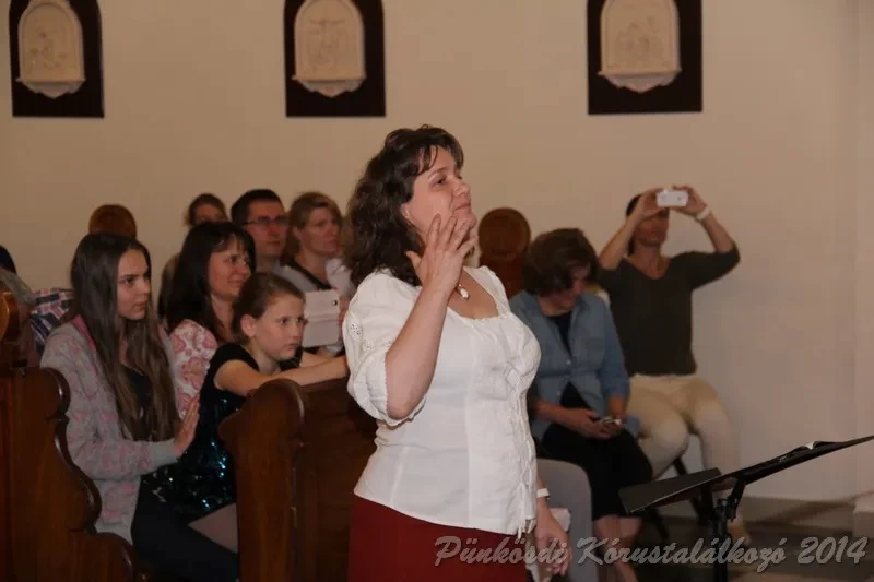 punkosdi 2014 06 05