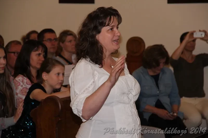 punkosdi 2014 06 05