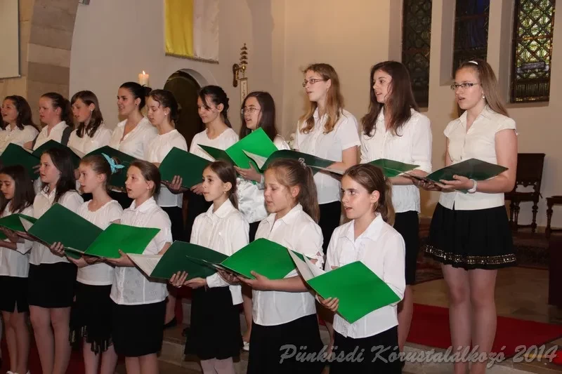 punkosdi 2014 06 05