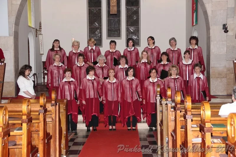 punkosdi 2014 06 05