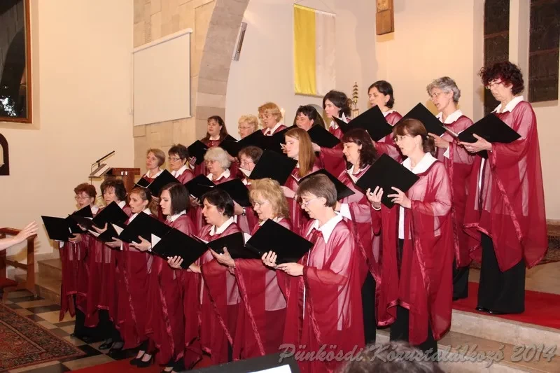 punkosdi 2014 06 05