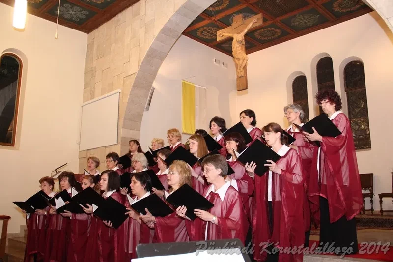 punkosdi 2014 06 05