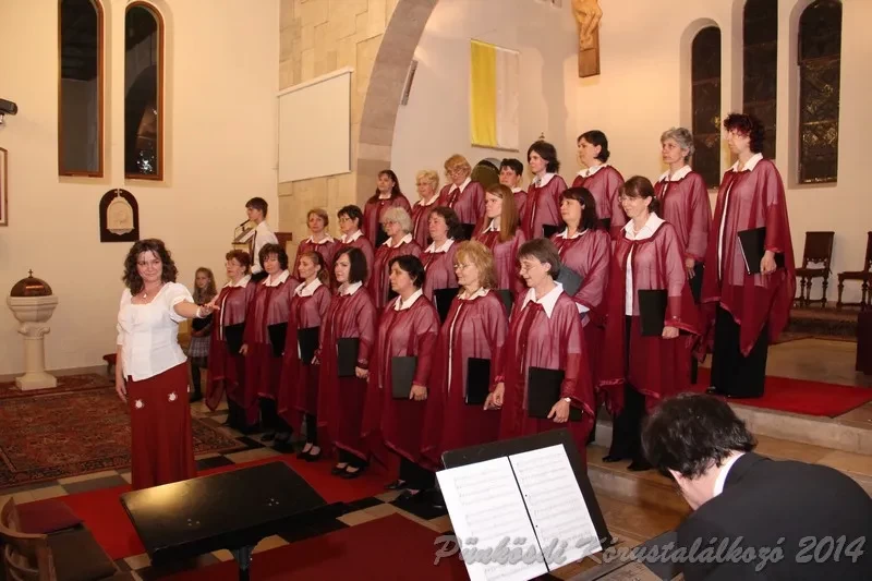 punkosdi 2014 06 05