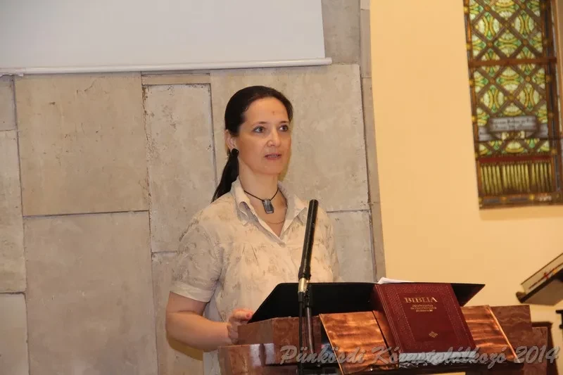 punkosdi 2014 06 06
