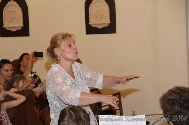 punkosdi 2014 06 06