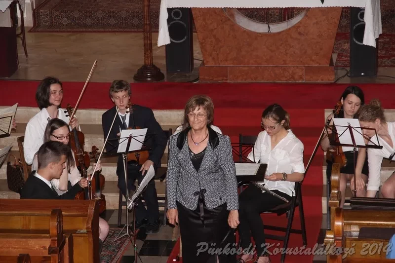 punkosdi 2014 06 06