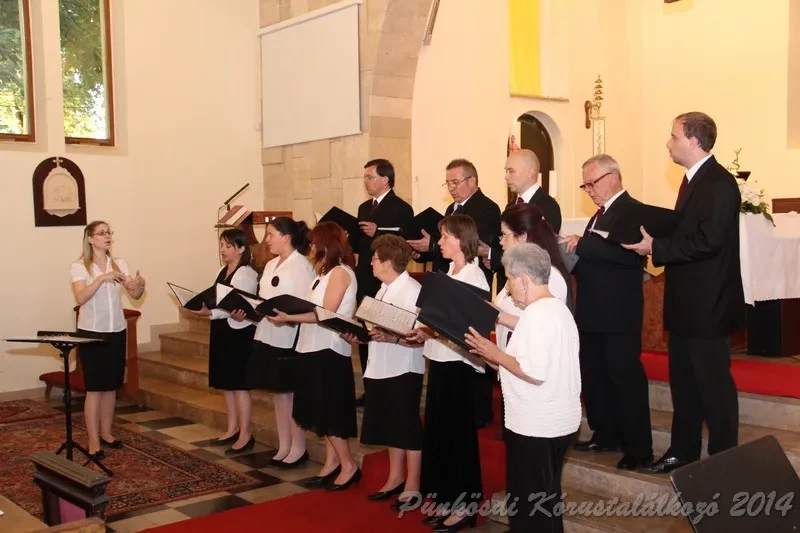 punkosdi 2014 06 06