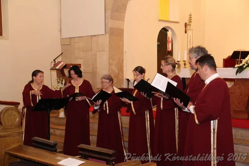 punkosdi 2014 06 06