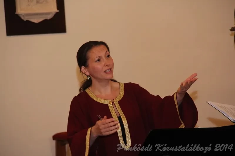 punkosdi 2014 06 06