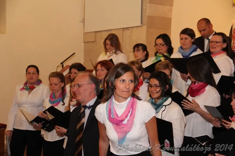 punkosdi 2014 06 06