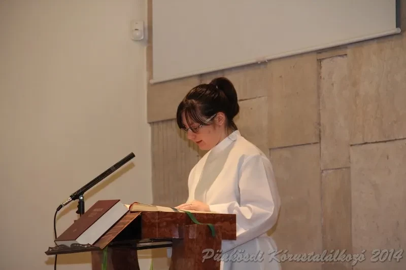 punkosdi 2014 06 07