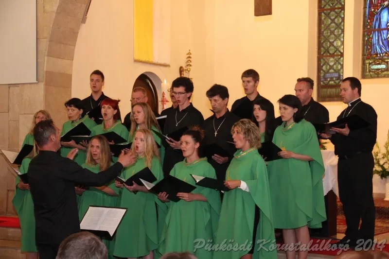 punkosdi 2014 06 07