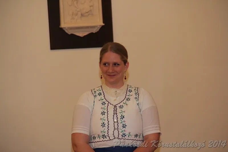 punkosdi 2014 06 07