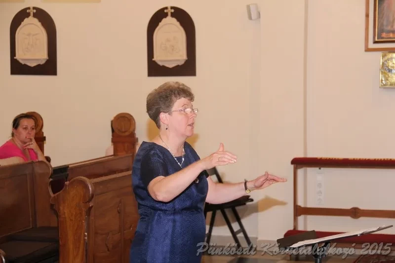 punkosdi 2015 05 20