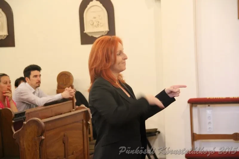 punkosdi 2015 05 20