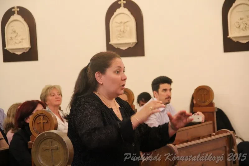 punkosdi 2015 05 20