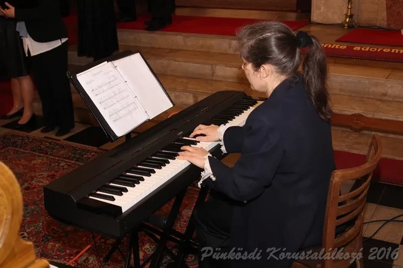 punkosdi 2016 05 12